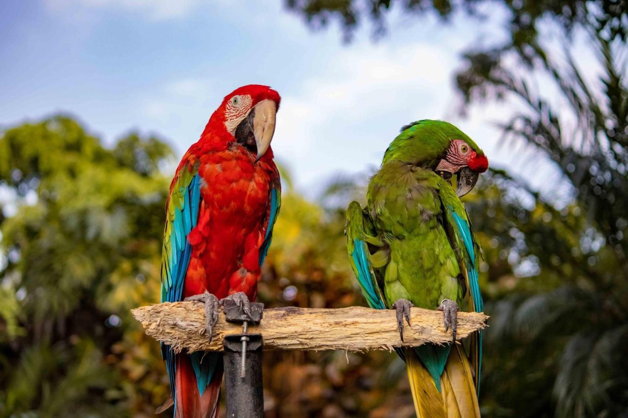 Las Mananitas Cuernavaca Kültér fotó